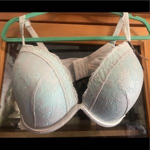 Lane Bryant Undergarment